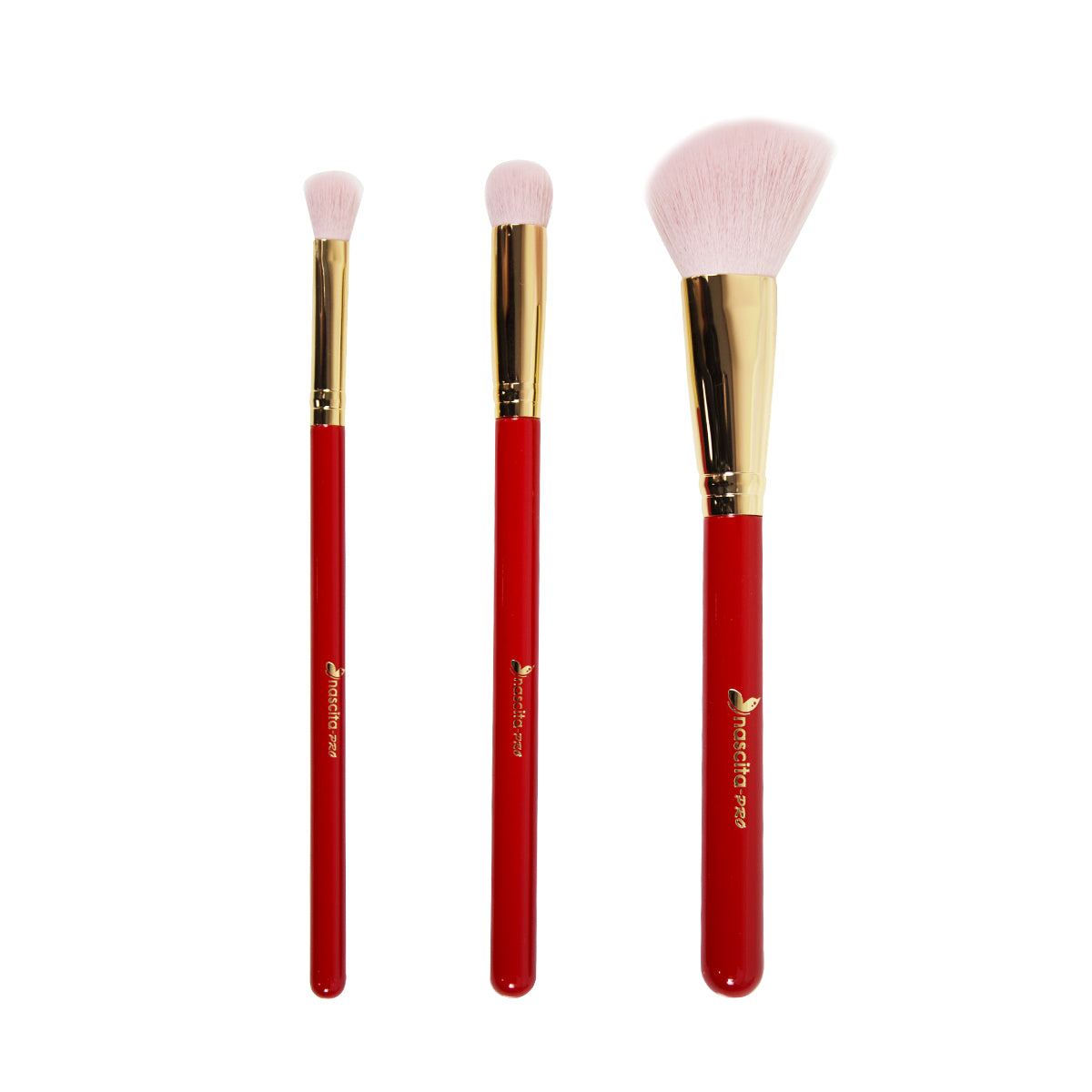 NASBRUSHSET113_1.jpg