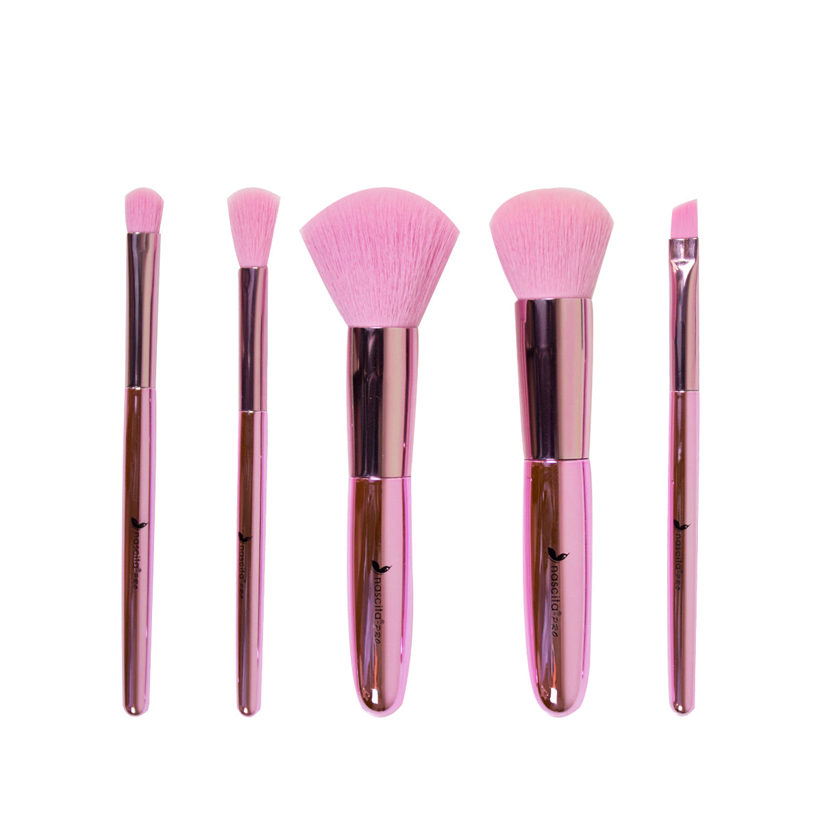 NASBRUSHSET142_1.jpg