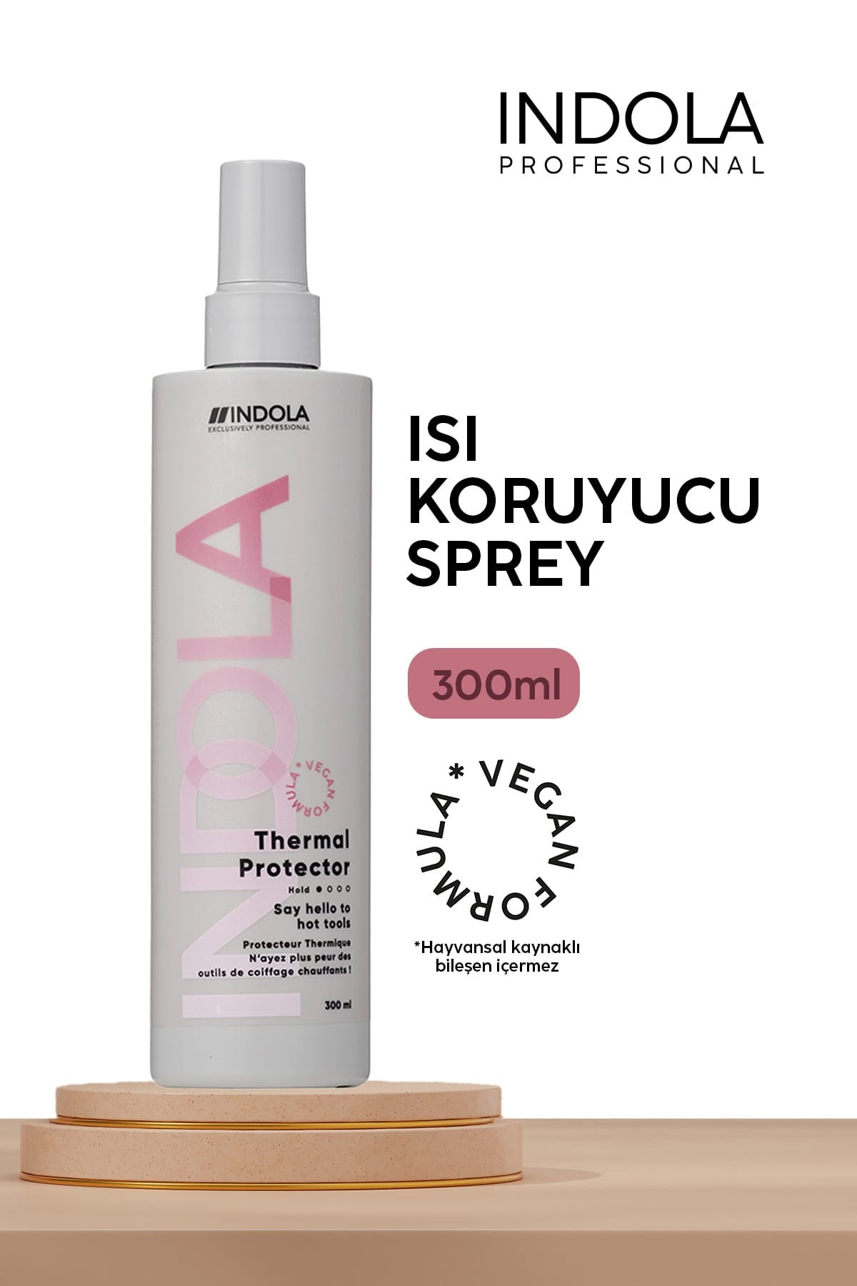IND ISI KORUCUYU SPREY 300ML INT