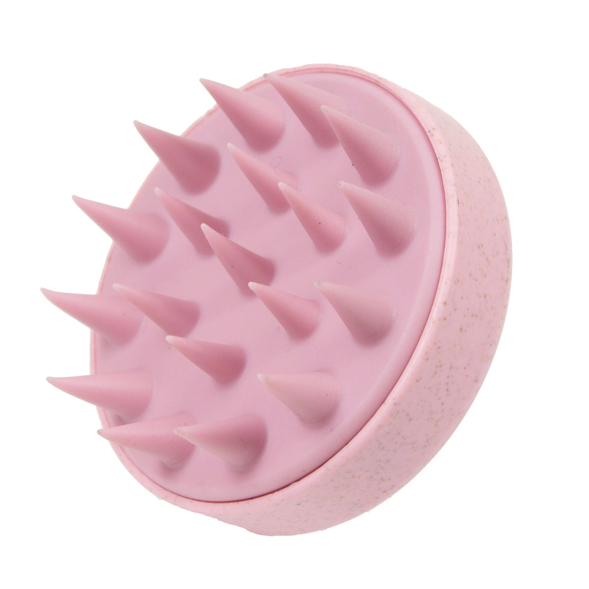 GERİ DÖNÜŞTÜRÜLEBİLİR ŞAMPUAN FIRÇASI