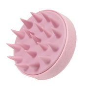 GERİ DÖNÜŞTÜRÜLEBİLİR ŞAMPUAN FIRÇASI