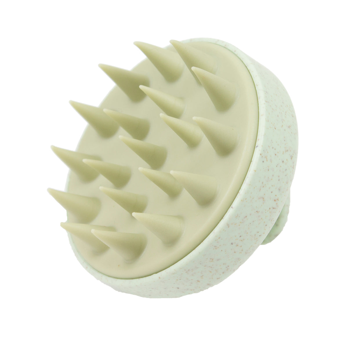 GERİ DÖNÜŞTÜRÜLEBİLİR ŞAMPUAN FIRÇASI