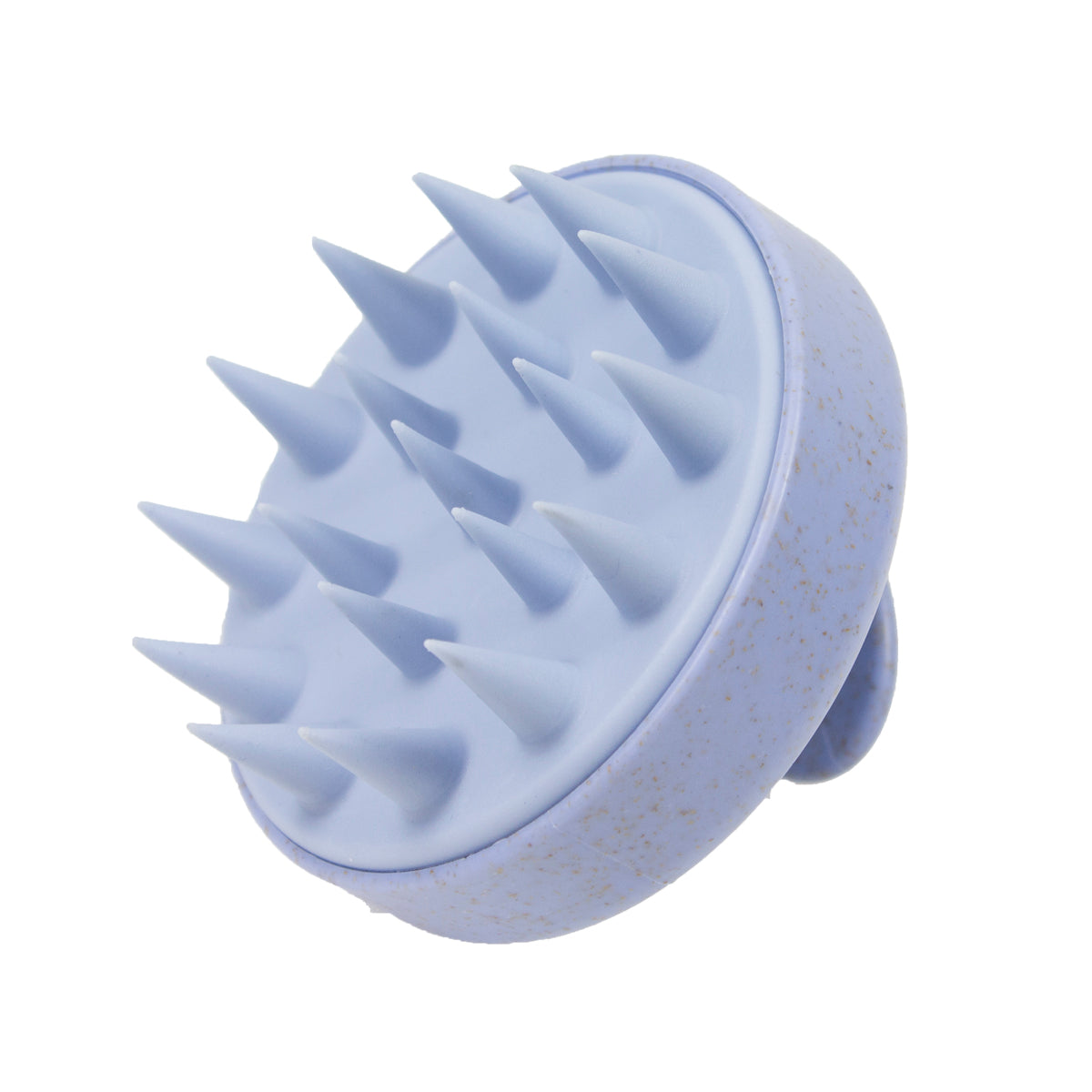 GERİ DÖNÜŞTÜRÜLEBİLİR ŞAMPUAN FIRÇASI