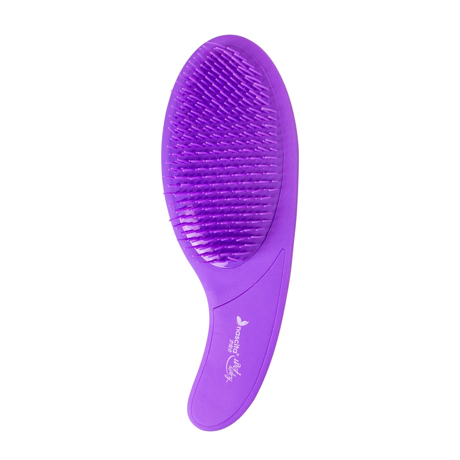 NASCITA PRO SAC FIRCASI