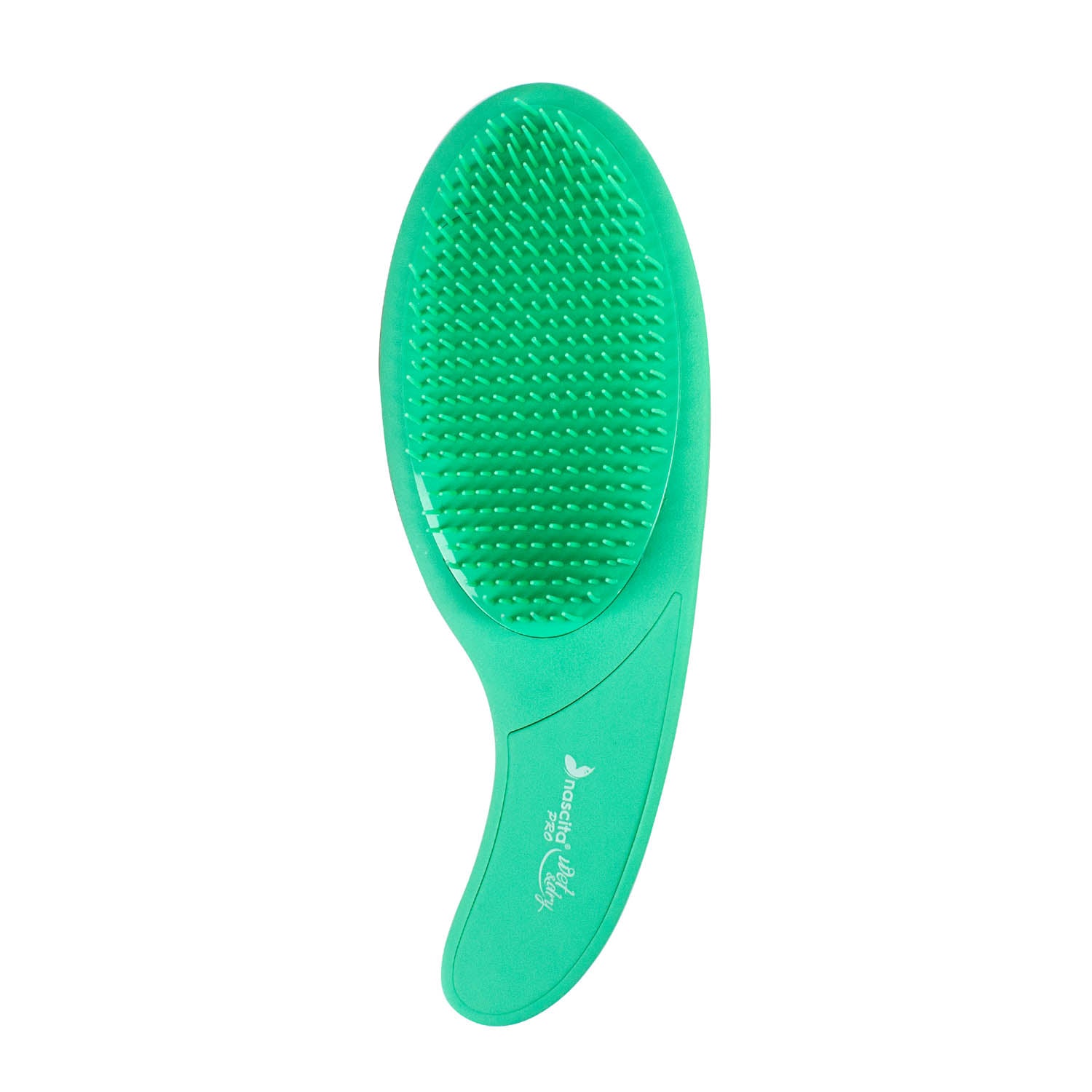 NASCITA PRO SAC FIRCASI